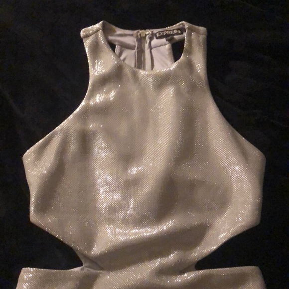 Express Metallic Dress - Picture 5 of 7